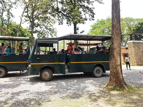 Dhikala Canter Safari