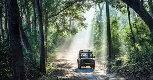 Jim Corbett Jeep Safari